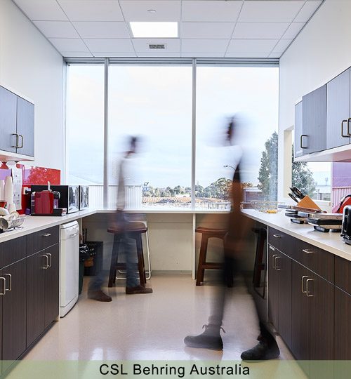 CSL-Behring-Australia-Kitchen